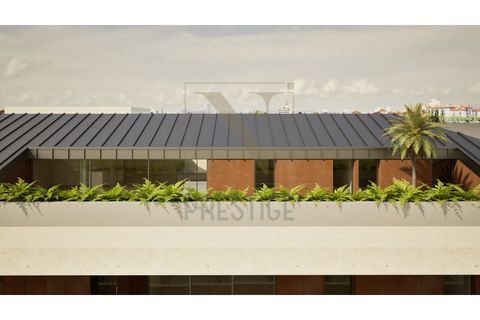 Lejlighed i Cantanhede, Coimbra, Cantanhede - € 415.000 | Ref: NP3639 - foto 23