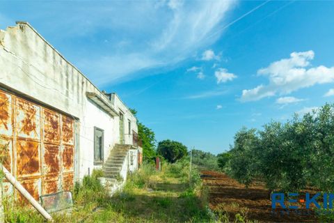 Landejendom i Casarano, Lecce, Casarano - € 60.000 | Ref: VR313 - foto 6