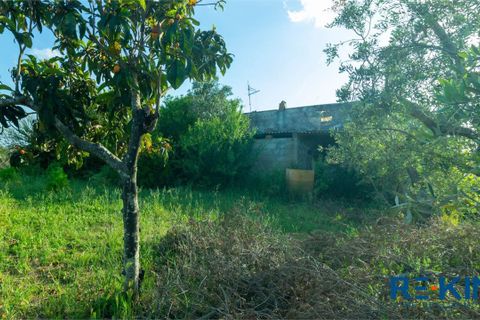 Landejendom i Casarano, Lecce, Casarano - € 60.000 | Ref: VR313 - foto 7