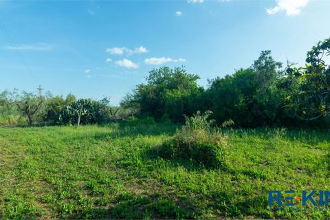 Landejendom i Casarano, Lecce, Casarano - € 60.000 | Ref: VR313 - foto 9