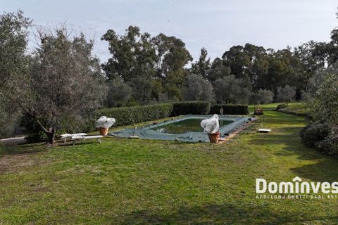 Landejendom i Capalbio, Grosseto, Capalbio - € 875.000 | Ref: v-163 - foto 7