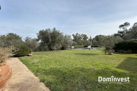 Landejendom i Capalbio, Grosseto, Capalbio - € 875.000 | Ref: v-163 - foto 9