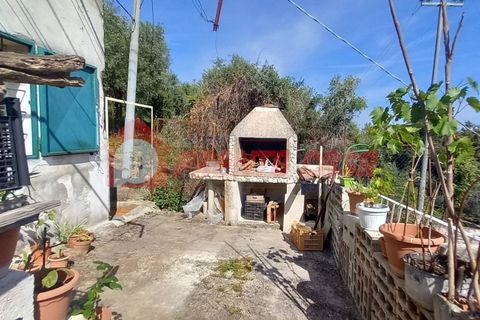 Leilighet i Ischitella, Foggia, Ischitella - € 208 000 | Ref: V000717 - foto 20