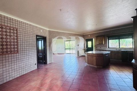 Byhus i Pombal, Leiria, Pombal - € 595.000 | Ref: CR0775 - foto 45