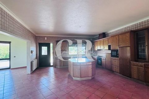 Byhus i Pombal, Leiria, Pombal - € 595.000 | Ref: CR0775 - foto 46