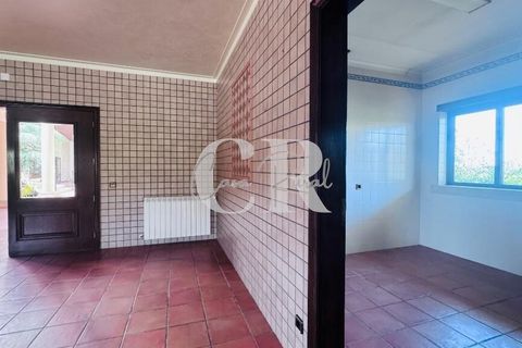 Byhus i Pombal, Leiria, Pombal - € 595.000 | Ref: CR0775 - foto 47