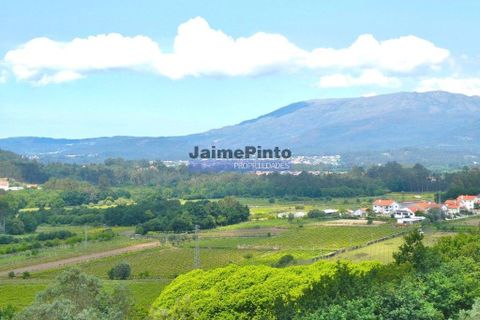 Helårsgrund i Ponte de Lima, Viana do Castelo, Ponte de Lima - € 72.500 | Ref: 9962_T - foto 4