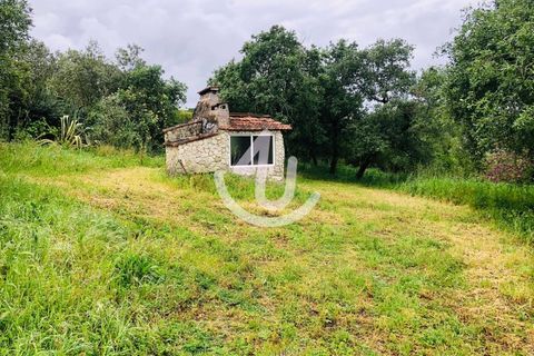 Helårsgrund i Alcobaca, Leiria, Alcobaca - € 59.000 | Ref: S4U132-V119 - foto 1