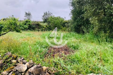 Helårsgrund i Alcobaca, Leiria, Alcobaca - € 59.000 | Ref: S4U132-V119 - foto 3