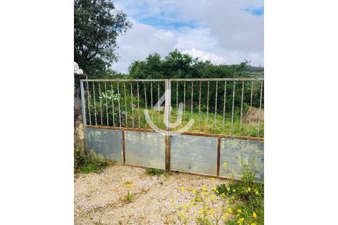 Helårsgrund i Alcobaca, Leiria, Alcobaca - € 59.000 | Ref: S4U132-V119 - foto 6