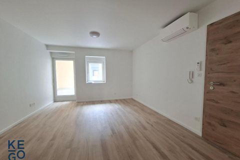Apartment in Saverne, Bas-Rhin, Saverne - € 628/month | Ref: GES07620002-927 - photo 3