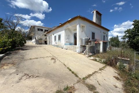 Farm i Castelo de Vide, Portalegre, Castelo de Vide - € 629.900 | Ref: PT2026-2127 - foto 5