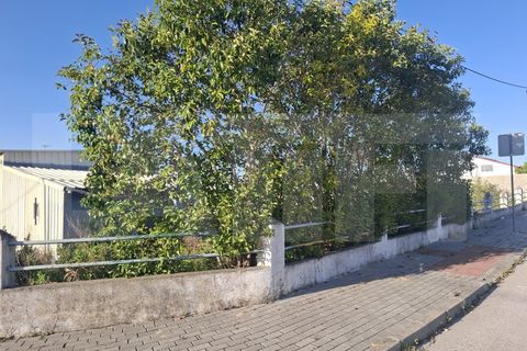 Helårsgrund i Quinta do Anjo, Setubal, Quinta do Anjo - € 246.500 | Ref: 313.002.020 - foto 1