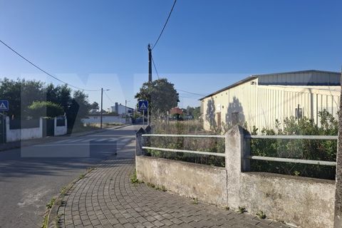 Helårsgrund i Quinta do Anjo, Setubal, Quinta do Anjo - € 246.500 | Ref: 313.002.020 - foto 10