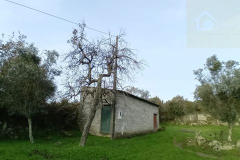 Villa i Mangualde, Viseu, Mangualde - € 36.000 | Ref: Q15 - foto 2