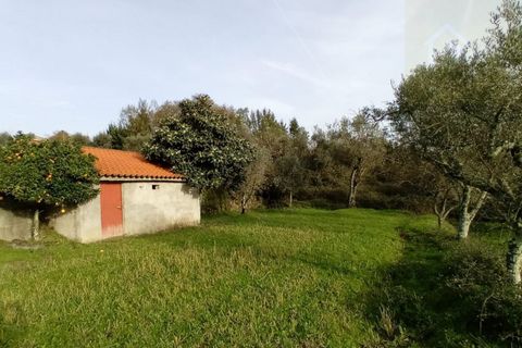 Villa i Mangualde, Viseu, Mangualde - € 36.000 | Ref: Q15 - foto 3
