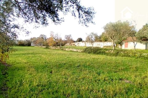 Villa i Mangualde, Viseu, Mangualde - € 36.000 | Ref: Q15 - foto 4