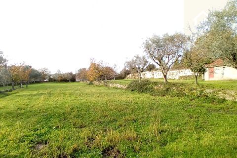 Villa i Mangualde, Viseu, Mangualde - € 36.000 | Ref: Q15 - foto 5