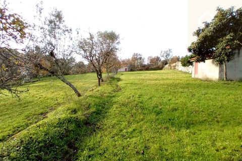 Villa i Mangualde, Viseu, Mangualde - € 36.000 | Ref: Q15 - foto 6