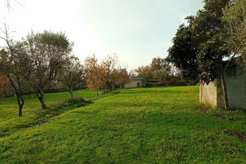 Villa i Mangualde, Viseu, Mangualde - € 36.000 | Ref: Q15 - foto 7
