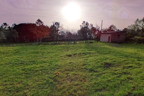 Villa i Mangualde, Viseu, Mangualde - € 36.000 | Ref: Q15 - foto 8