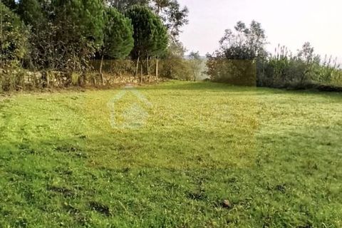 Villa i Mangualde, Viseu, Mangualde - € 36.000 | Ref: Q15 - foto 13
