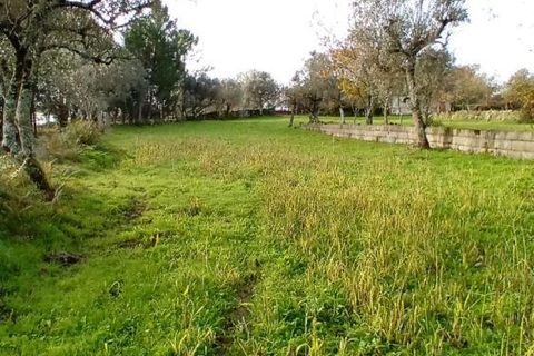 Villa i Mangualde, Viseu, Mangualde - € 36.000 | Ref: Q15 - foto 14