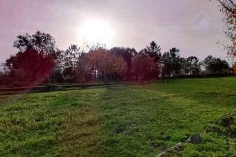 Villa i Mangualde, Viseu, Mangualde - € 36.000 | Ref: Q15 - foto 15