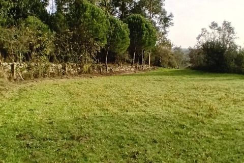 Villa i Mangualde, Viseu, Mangualde - € 36.000 | Ref: Q15 - foto 16
