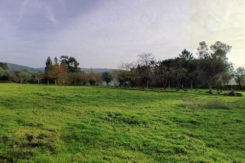 Villa i Mangualde, Viseu, Mangualde - € 36.000 | Ref: Q15 - foto 17