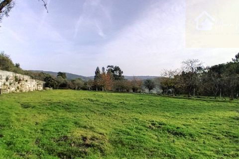 Villa i Mangualde, Viseu, Mangualde - € 36.000 | Ref: Q15 - foto 18