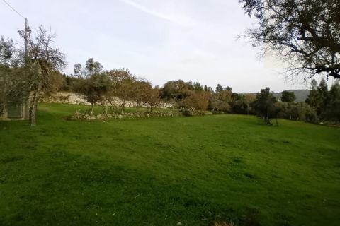 Villa i Mangualde, Viseu, Mangualde - € 36.000 | Ref: Q15 - foto 19