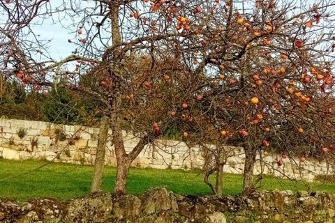 Villa i Mangualde, Viseu, Mangualde - € 36.000 | Ref: Q15 - foto 20
