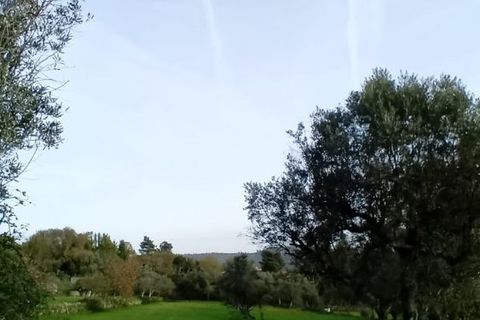 Villa i Mangualde, Viseu, Mangualde - € 36.000 | Ref: Q15 - foto 26