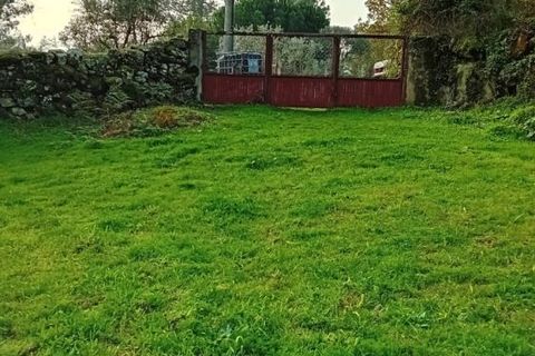Villa i Mangualde, Viseu, Mangualde - € 36.000 | Ref: Q15 - foto 27