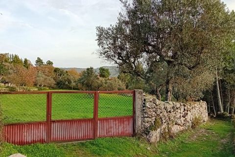 Villa i Mangualde, Viseu, Mangualde - € 36.000 | Ref: Q15 - foto 28