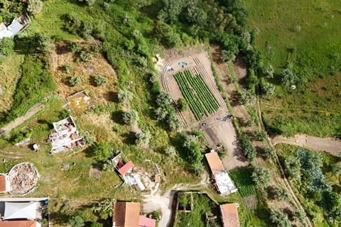 Tomt i Soure, Coimbra, Soure - € 17 500 | Ref: ADF_74 - foto 2