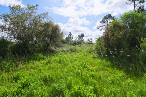 Tomt i Soure, Coimbra, Soure - € 17 500 | Ref: ADF_74 - foto 20