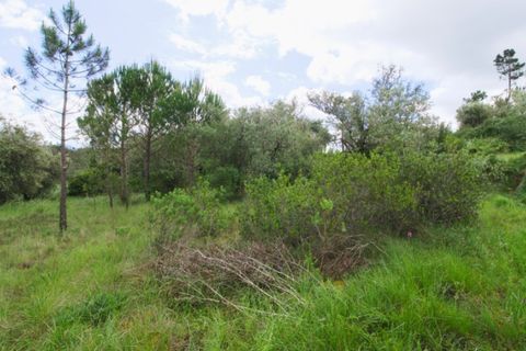 Tomt i Soure, Coimbra, Soure - € 17 500 | Ref: ADF_74 - foto 21