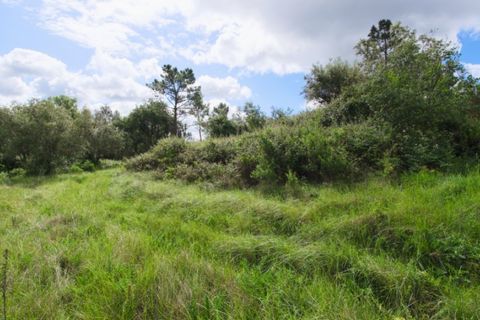 Tomt i Soure, Coimbra, Soure - € 17 500 | Ref: ADF_74 - foto 22