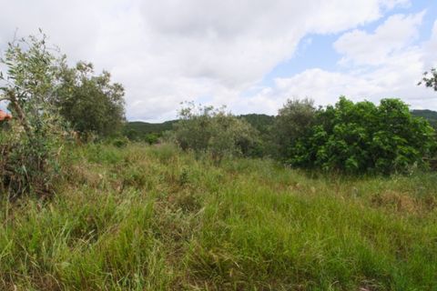 Tomt i Soure, Coimbra, Soure - € 17 500 | Ref: ADF_74 - foto 24