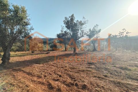 Villa a Alvaiazere, Leiria, Alvaiazere - € 190.000 | Ref: SAFTI:008180 - foto 33