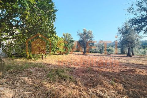 Villa a Alvaiazere, Leiria, Alvaiazere - € 190.000 | Ref: SAFTI:008180 - foto 34