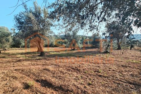 Villa a Alvaiazere, Leiria, Alvaiazere - € 190.000 | Ref: SAFTI:008180 - foto 35
