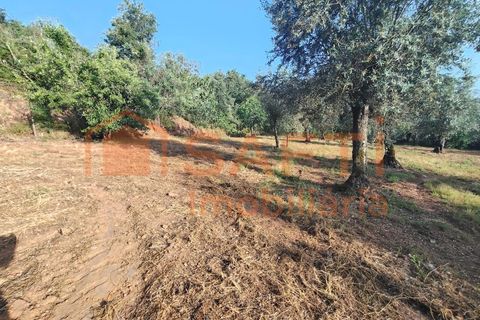 Villa a Alvaiazere, Leiria, Alvaiazere - € 190.000 | Ref: SAFTI:008180 - foto 36