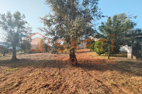 Villa a Alvaiazere, Leiria, Alvaiazere - € 190.000 | Ref: SAFTI:008180 - foto 37