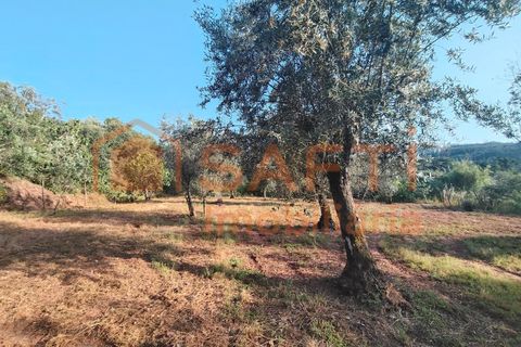 Villa a Alvaiazere, Leiria, Alvaiazere - € 190.000 | Ref: SAFTI:008180 - foto 38