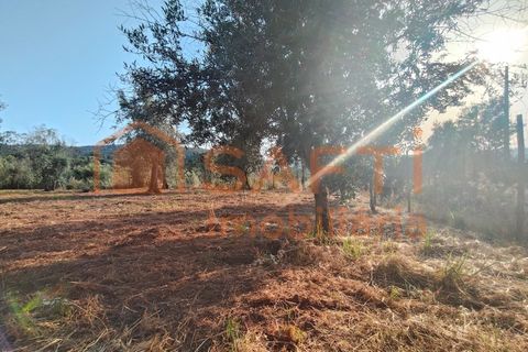 Villa a Alvaiazere, Leiria, Alvaiazere - € 190.000 | Ref: SAFTI:008180 - foto 39