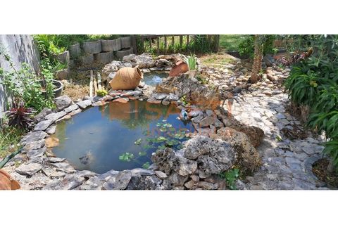 Landejendom i Freixianda, Santarem, Freixianda - € 267.500 | Ref: SAFTI:008220 - foto 19