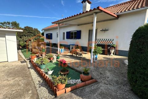 Erhvervsejendom i Abrantes, Santarem, Abrantes - € 780.000 | Ref: SAFTI:008234 - foto 2